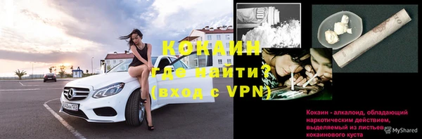 ПСИЛОЦИБИНОВЫЕ ГРИБЫ Верхнеуральск