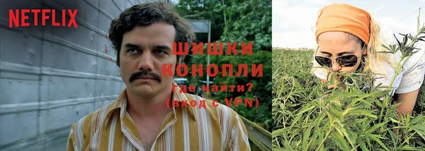 стаф Пестово