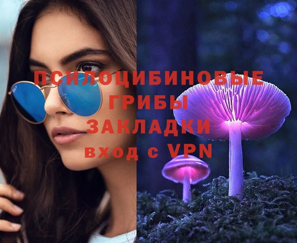 ПСИЛОЦИБИНОВЫЕ ГРИБЫ Верхнеуральск
