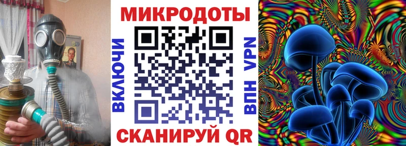 наркотики Галич Галлюциногенные грибы Magic Shrooms