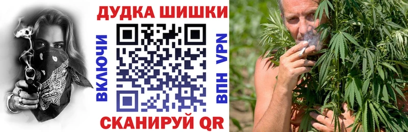 Каннабис OG Kush  Галич 